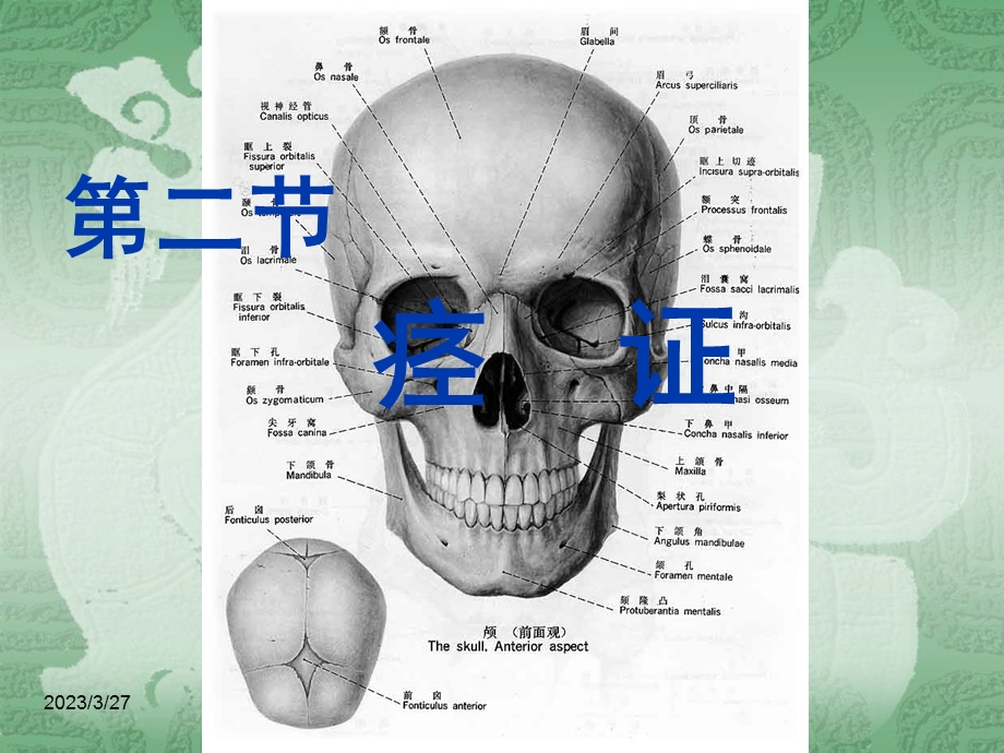 中医内科学ppt课件 12痉证.ppt_第1页