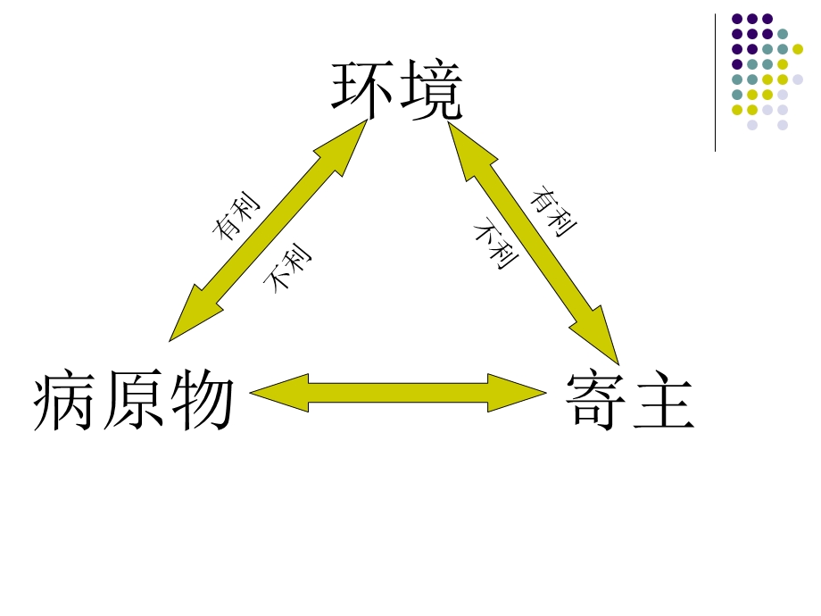 侵染性病害的发生和流行ppt课件.ppt_第2页