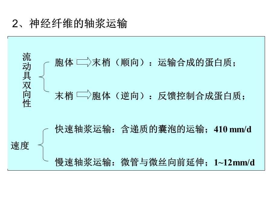 课件-动物生理学第十三章神经系统的运动机能.ppt_第3页