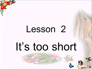 三年级英语下册Lesson2《It’stooshort》-优秀ppt课件科普版.ppt