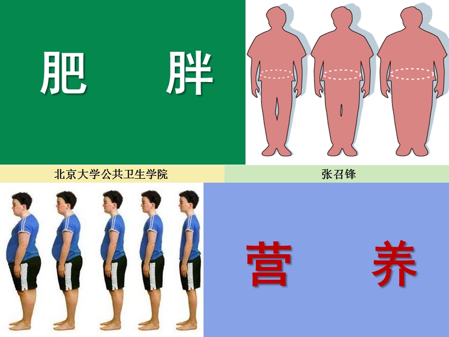 营养与肥胖课件.ppt_第1页