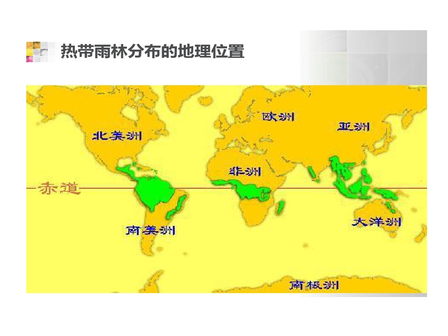 热带雨林生物多样性保护课件.ppt_第3页