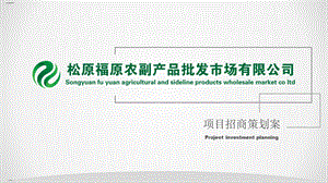 某农副产品批发市场项目招商策划案课件.ppt