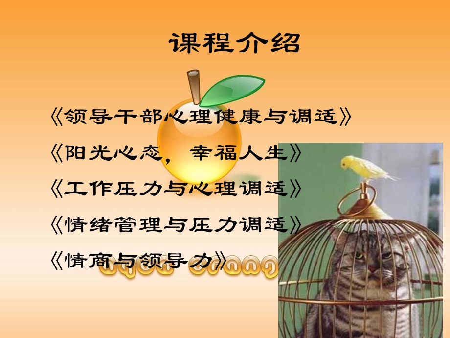 阳光心态幸福人生课件.ppt_第3页