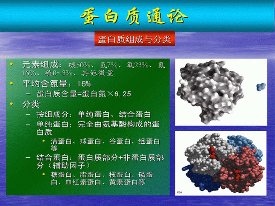 生物化学I-第5章蛋白质的共价结构—第6章蛋白质结构与功能的关系方案课件.ppt_第2页