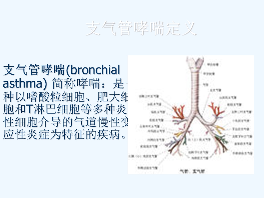 小讲课支气管哮喘护理课件.ppt_第3页