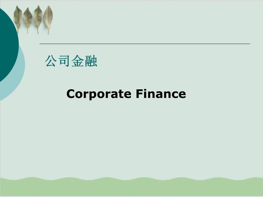 公司金融的基本理念与工具课件.ppt_第1页