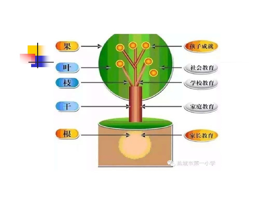 小学高年级语文学习的方法课件.ppt_第2页