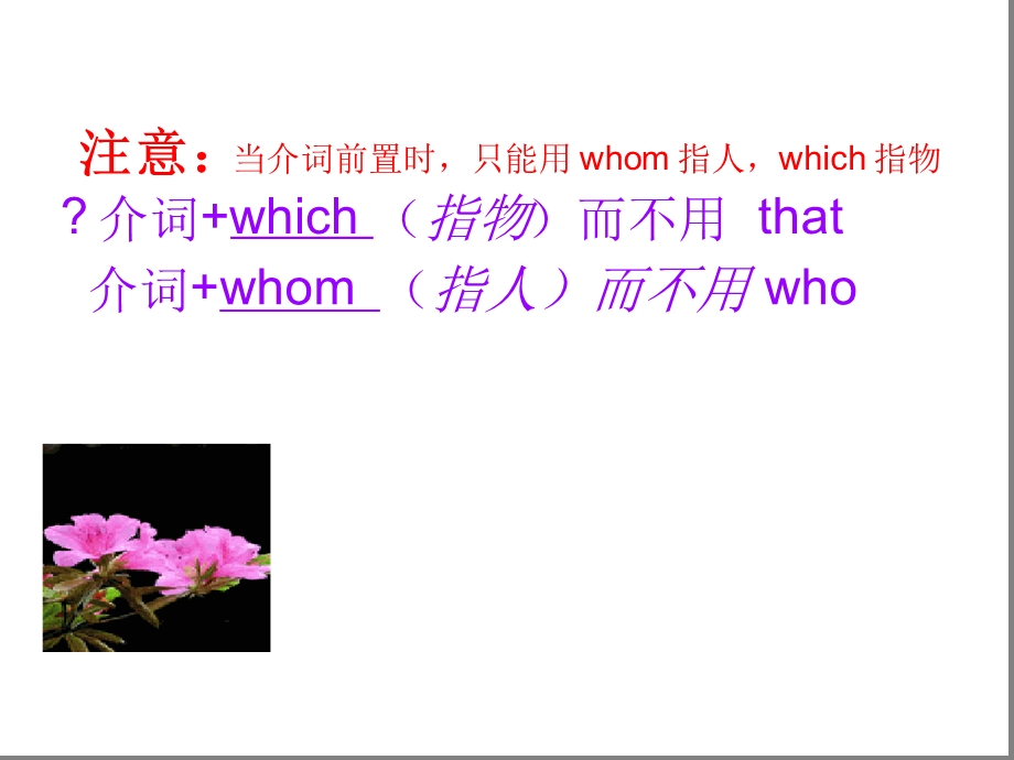 定语从句介词which介词课件.ppt_第3页