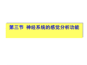 《神经系统的感觉分析功能》课件.ppt