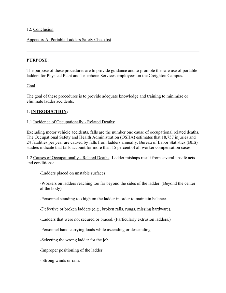 portable ladder safety in accordance with 29 cfr 1910.doc_第2页