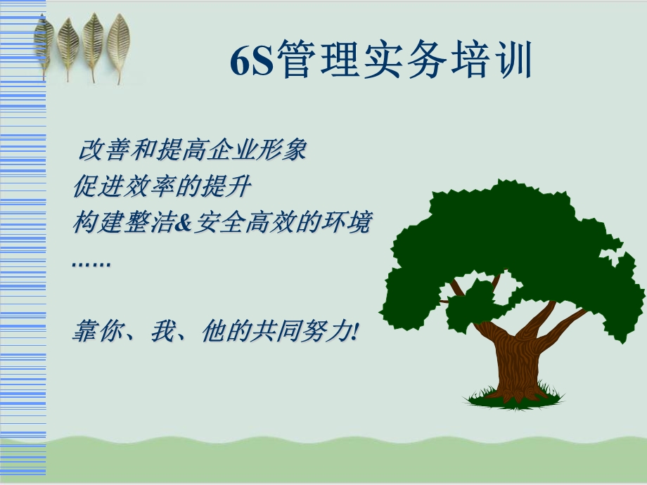 6S管理实务培训课件.ppt_第1页