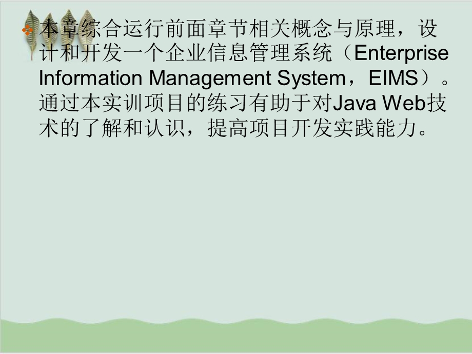 企业信息管理系统项目实训课件.ppt_第2页
