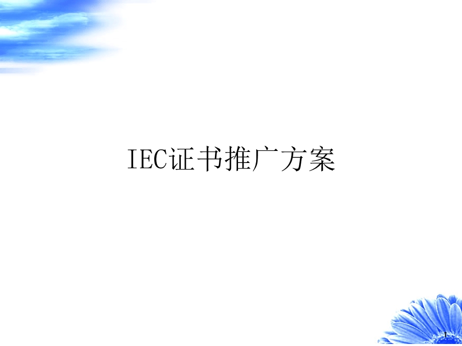 IEC证书推广方案课件.ppt_第1页