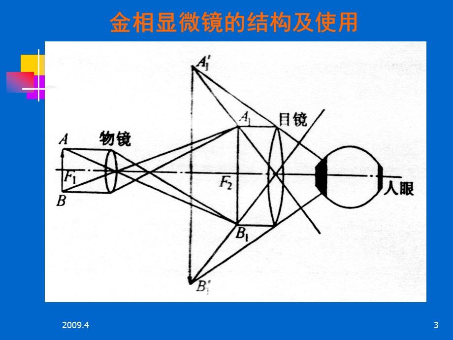 二铁碳合金平衡组织观察课件.ppt_第3页