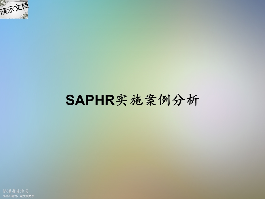 SAPHR实施案例分析课件.ppt_第1页