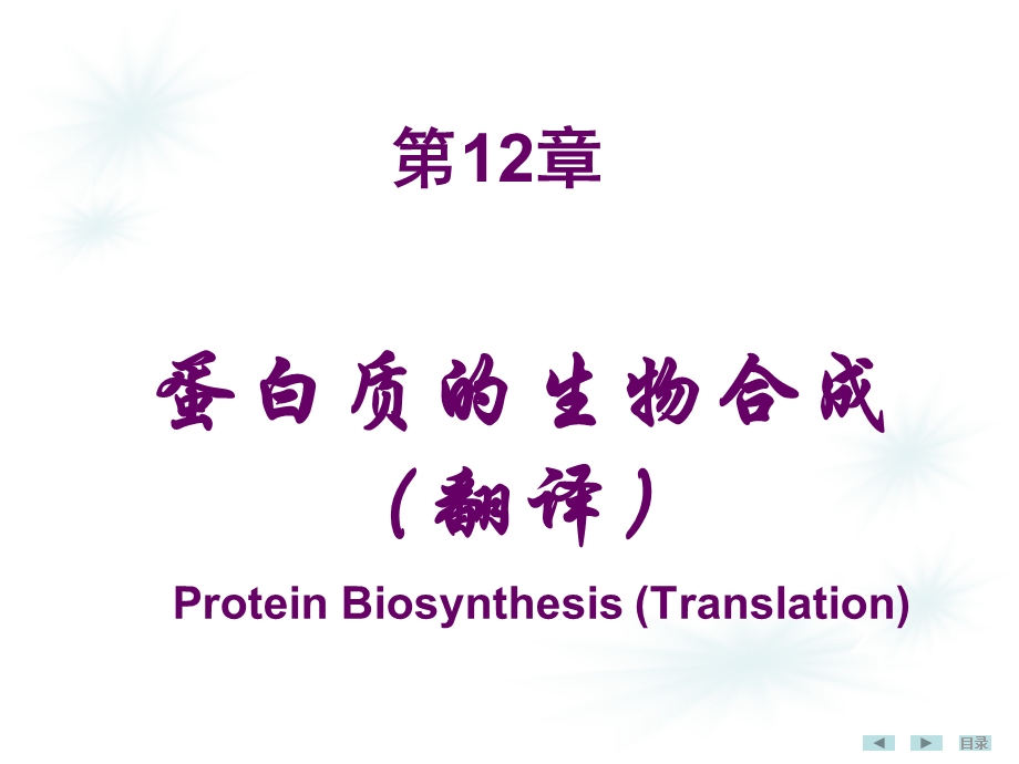 第七版生化ppt课件--第十二章 蛋白质生物合成.ppt_第1页