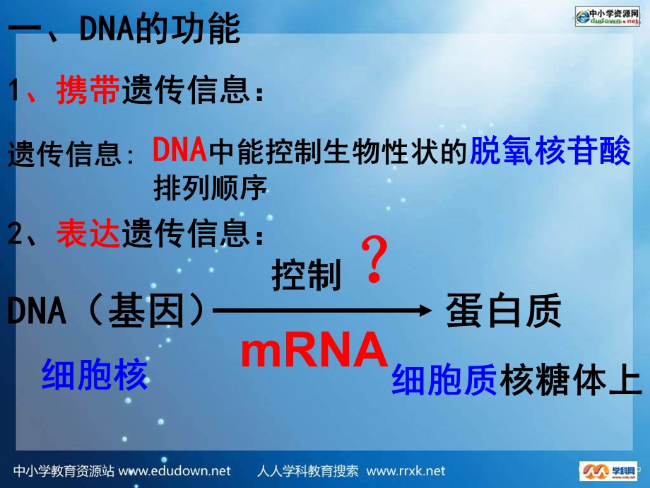 浙科版生物必修2第四节《遗传信息的表达—-RNA和蛋白质的合成》课件.ppt_第2页