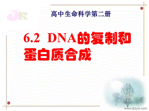 生物62《DNA复制和蛋白质合成》ppt课件（3）（沪科版第二册）.ppt