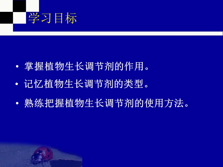 记忆植物生长调节剂的类型课件.ppt_第2页