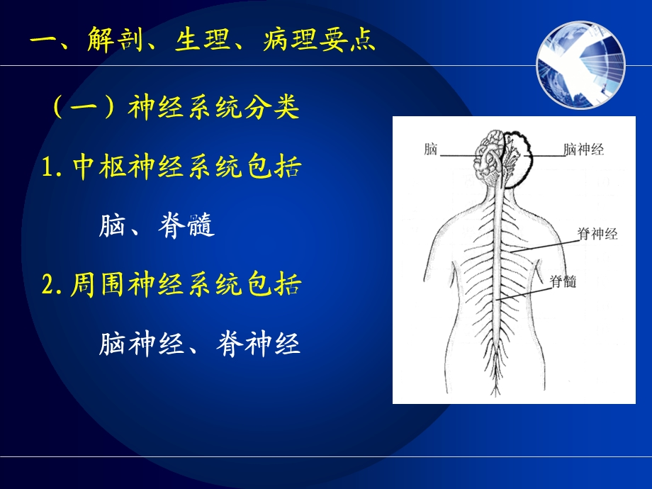 护士执业资格考试内科护理学第九章神经系统疾病病人护理 课件.ppt_第3页