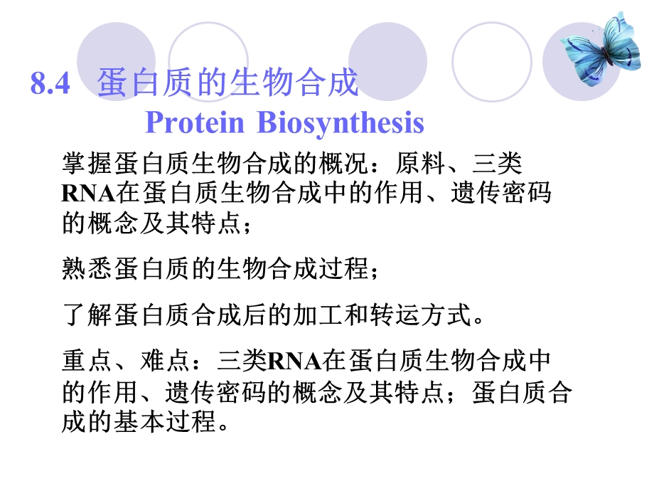 核酸代谢4--蛋白质合成课件.ppt_第2页
