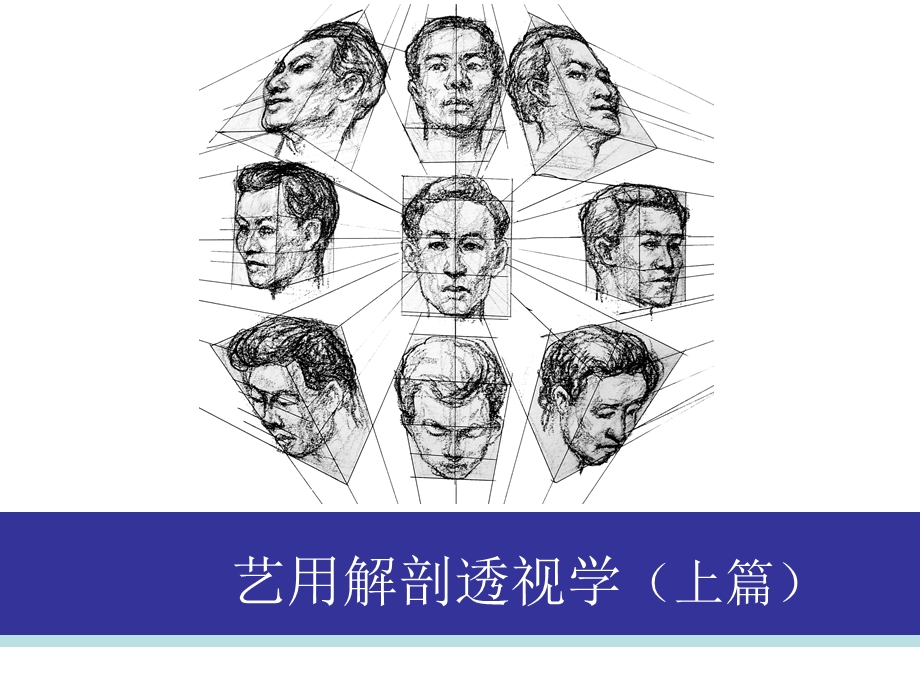 艺用解剖透视学(上篇)课件.ppt_第1页