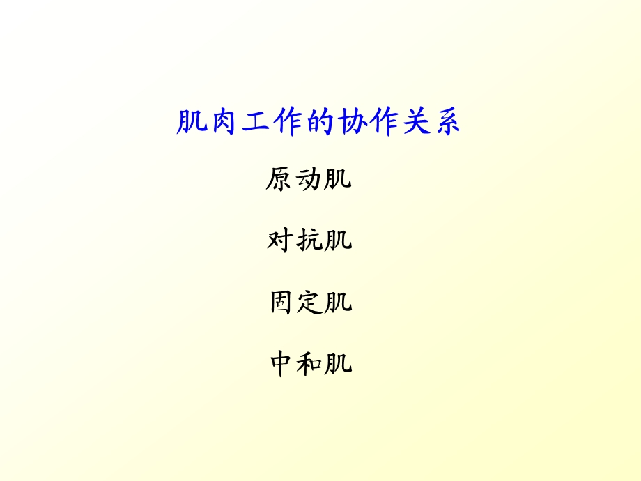 第三章 运动系统(6) 课件.ppt_第3页