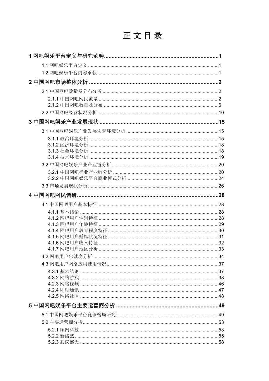 中国网吧娱乐产业专题研究报告.doc_第2页