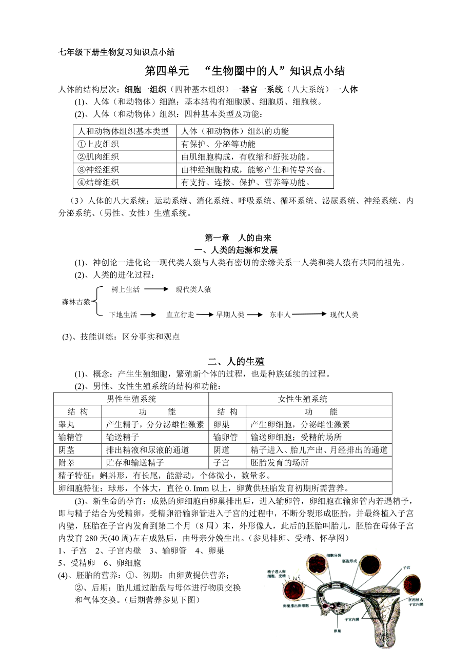 人教版七级下册生物知识点.doc_第1页