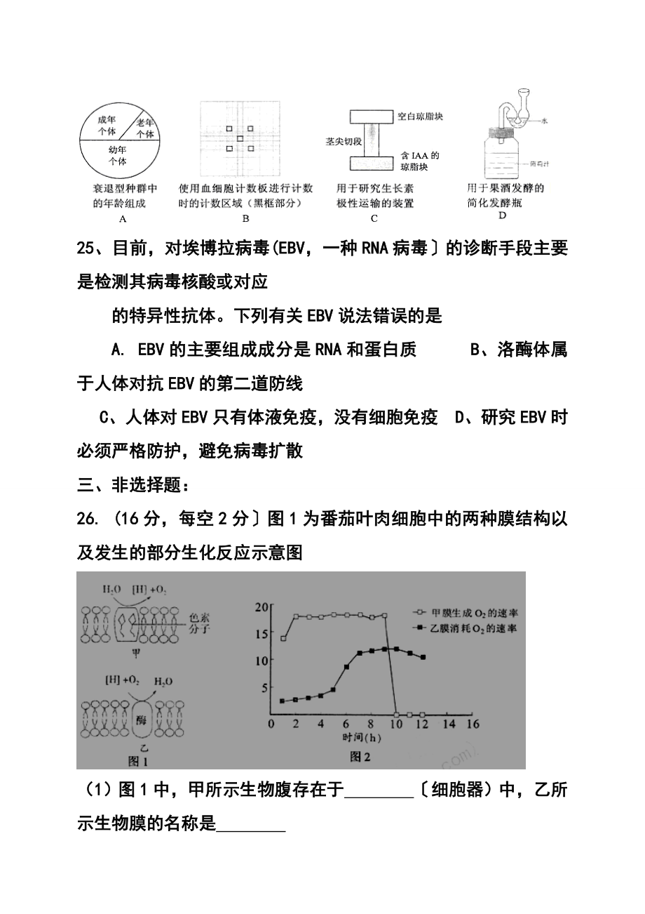 广东省湛江市普通高考测试（一）生物试题及答案.doc_第3页