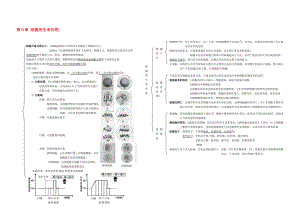 高中生物：《第六章 细胞的生命历程》知识框架（新人教版必修1） .doc