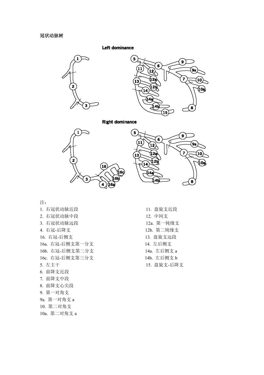 冠脉评分解说.doc_第1页