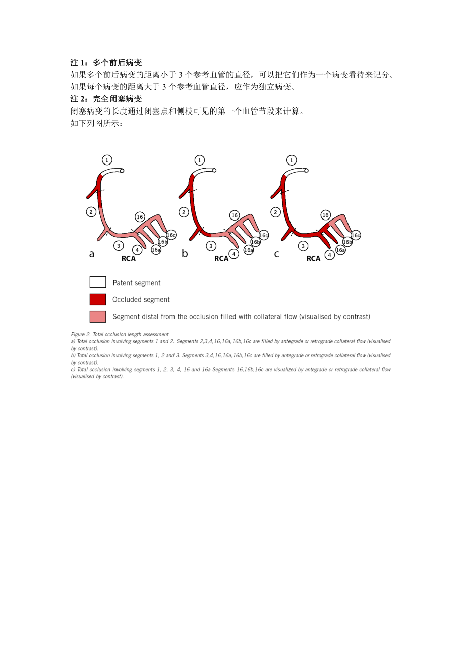 冠脉评分解说.doc_第3页