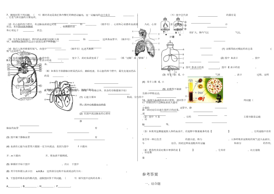 冀教版七年级生物下册复习题(精选).doc_第3页