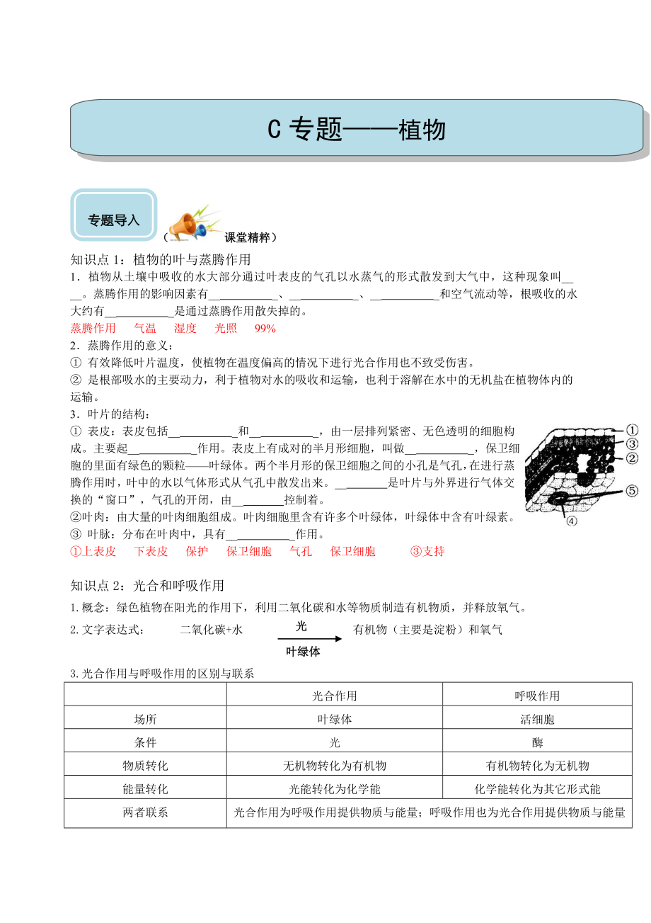 中考科学专题复习：生物的物质转化和能量循环.doc_第1页