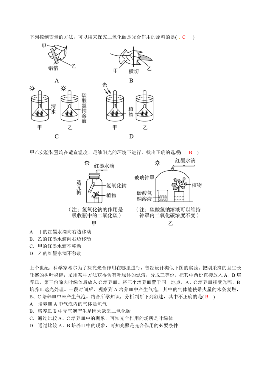 中考科学专题复习：生物的物质转化和能量循环.doc_第3页