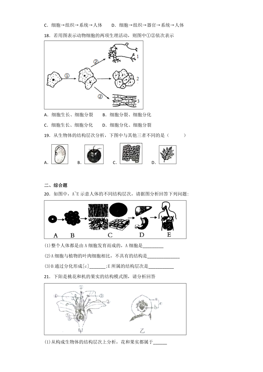 细胞怎样构成生物体习题(含答案).doc_第3页