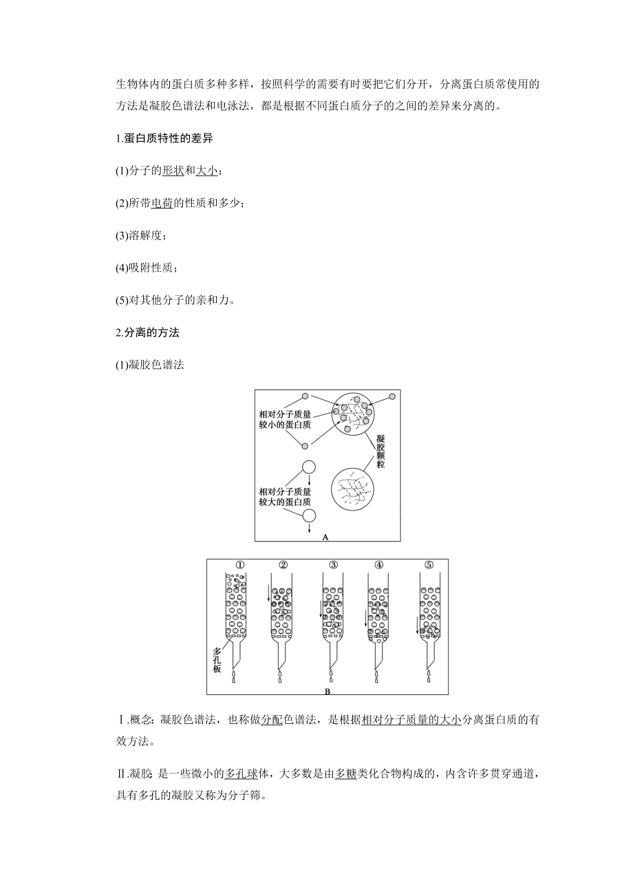 血红蛋白的提取和分离基础知识.doc_第2页