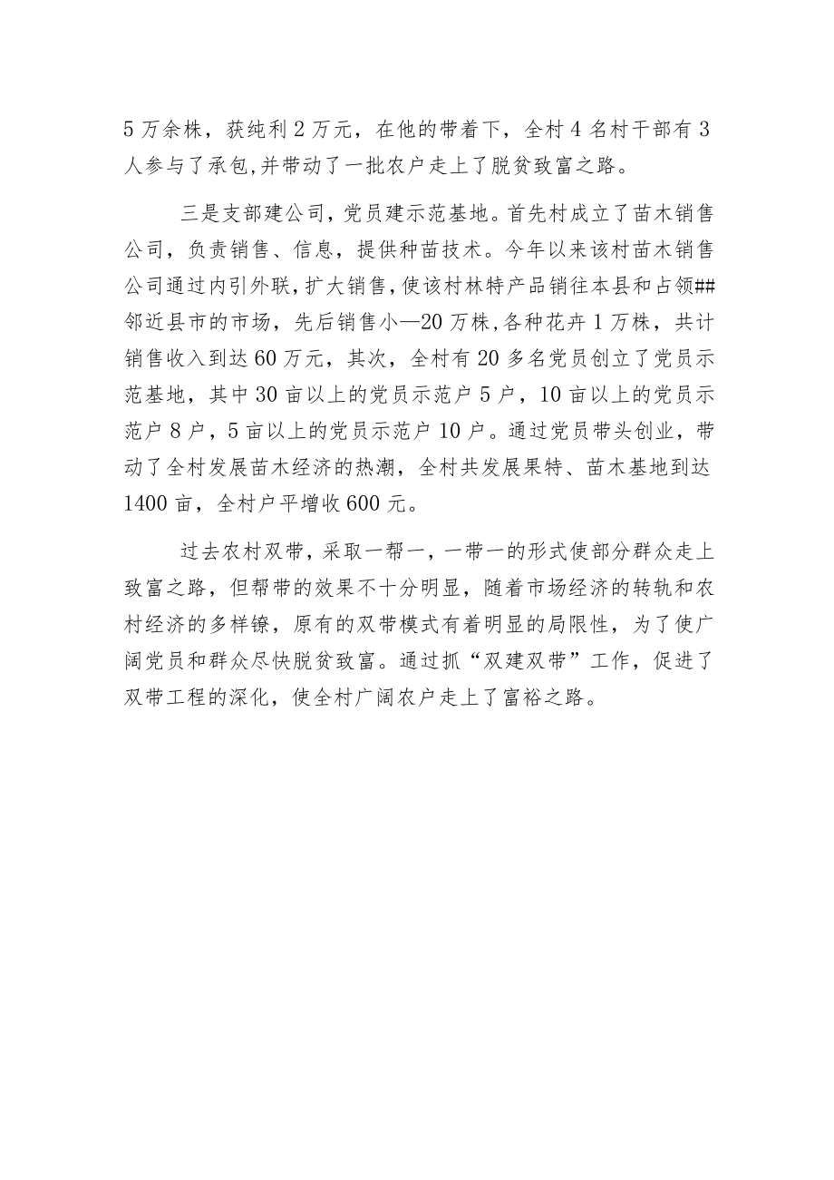 村“双建双带”工作总结.docx_第2页
