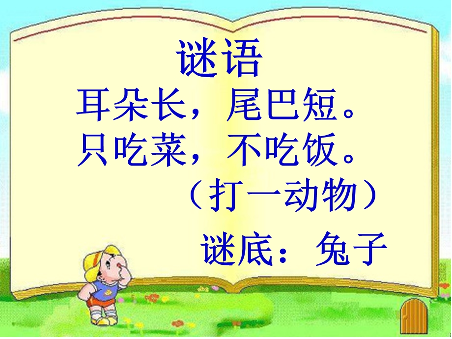 小动物作文.ppt_第2页