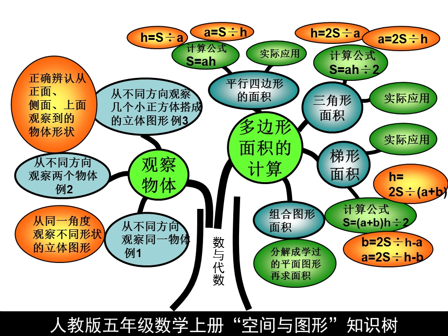 五年级上册知识树(曹）.ppt_第3页