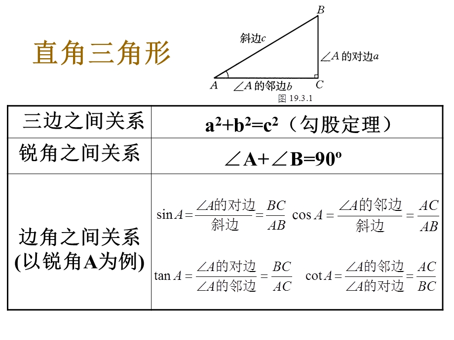 数学：253解直角三角形(1)课件(华东师大版九年级上).ppt_第2页