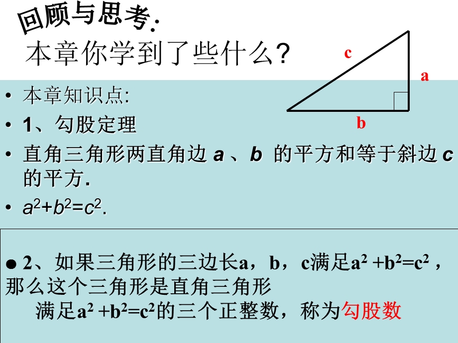 勾股定理复习 (2).ppt_第2页