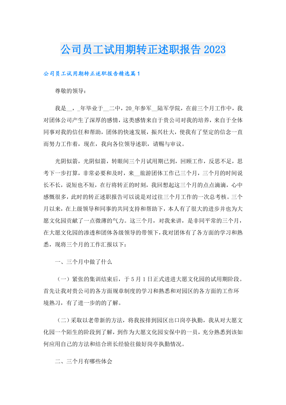 公司员工试用期转正述职报告2023.doc_第1页