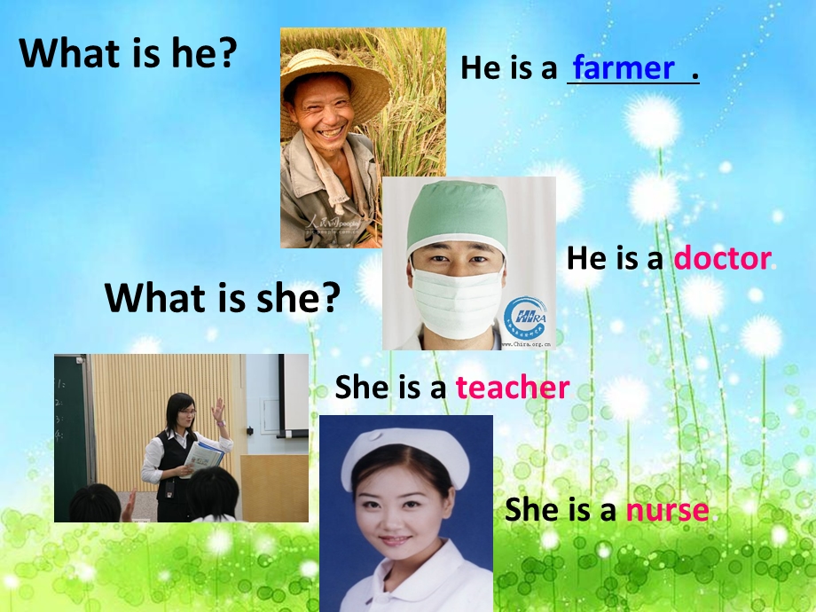 新PEP7_Unit5_what_does_he_do_A_learn.ppt_第2页