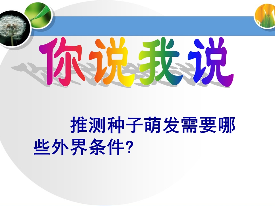 《探究种子萌发的环境条件》参考课件.ppt_第3页