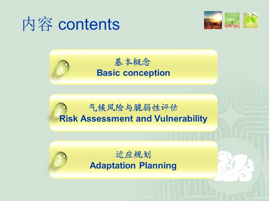 适应研究框架Frameworkforclimateadaptationresearch潘家.ppt_第2页