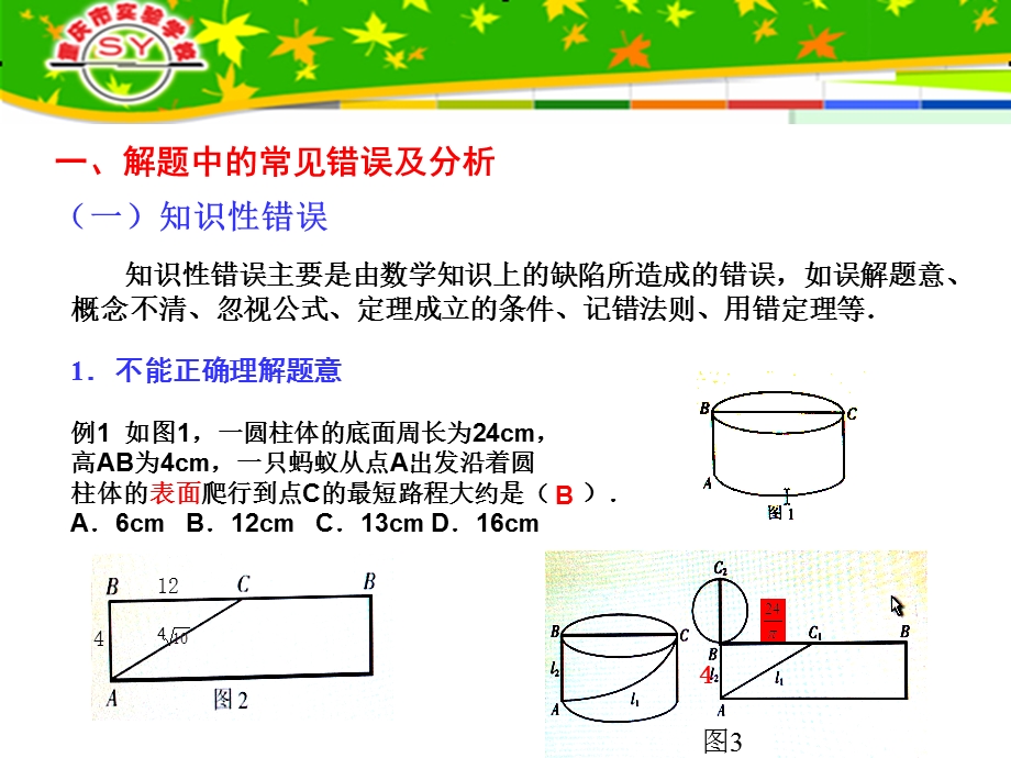 初中数学解题及案例分析.ppt_第3页