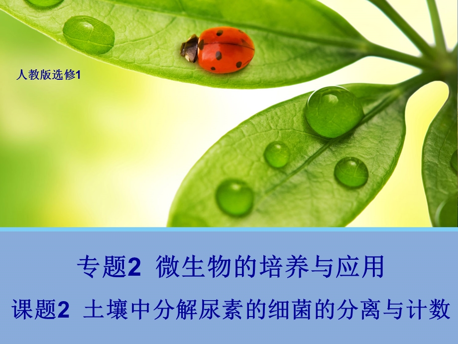 【生物】22土壤中分解尿素的细菌的分离与计数课件（人教版选修1）.ppt_第1页